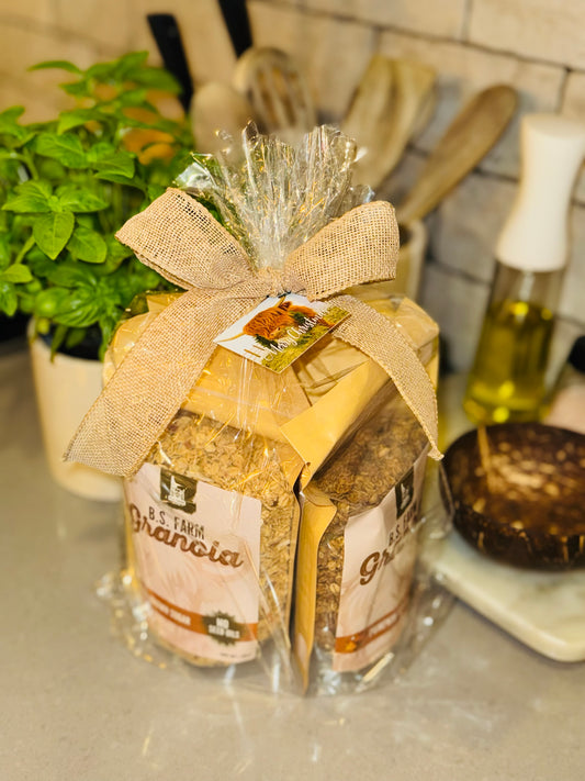 HolidayTrio Gift Bag